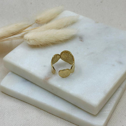 Bague ALI